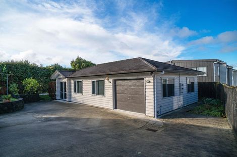 Photo of property in 17 Tiroroa Avenue, Te Atatu South, Auckland, 0610