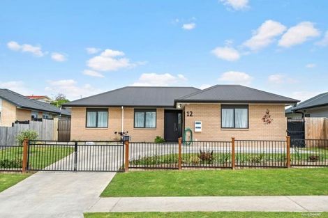 Photo of property in 12 Matau Close, Te Kauwhata, 3710