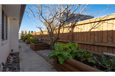 Photo of property in 9 Rose Street, Springlands, Blenheim, 7201