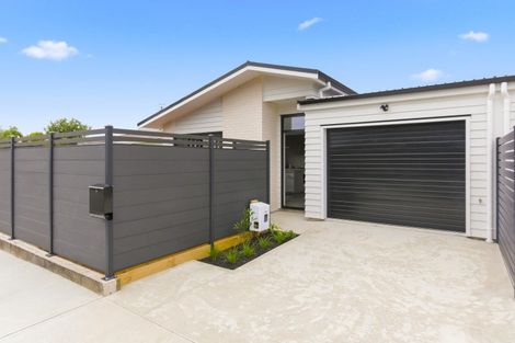 Photo of property in 1/17 Clark Street, Levin, 5510