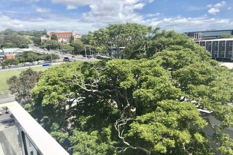 Photo of property in 603/10 Lion Place, Epsom, Auckland, 1023