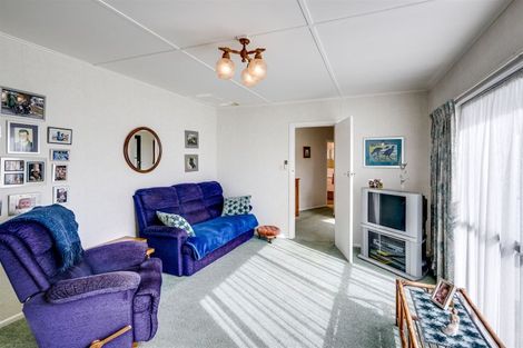 Photo of property in 6 Fannin Street, Bay View, Napier, 4104