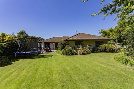 Photo of property in 19 Bunting Place, Woodend, 7610