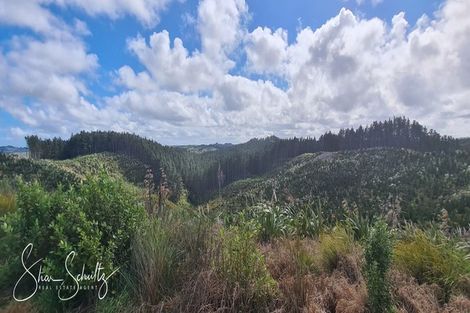 Photo of property in 872 Bickerstaffe Road, Maungaturoto, 0587