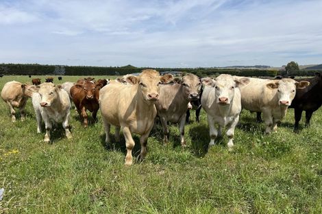 Photo of property in 174 Shortland Road, Oamaru North, Oamaru, 9494