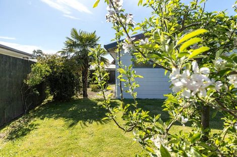 Photo of property in 9a Manatu Place, Witherlea, Blenheim, 7201