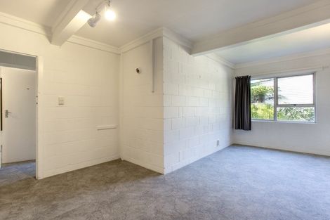 Photo of property in 8 Allen Road, Grey Lynn, Auckland, 1021