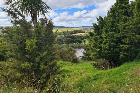 Photo of property in 304 Arapaoa Road, Tinopai, Matakohe, 0593