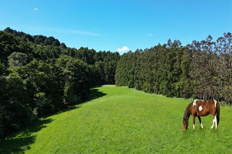 Photo of property in 805 Whangaripo Valley Road, Whangaripo, Wellsford, 0972