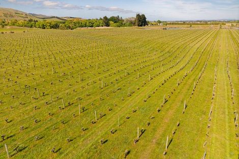 Photo of property in 35 Brighton Street, Island Bay, Wellington, 6023