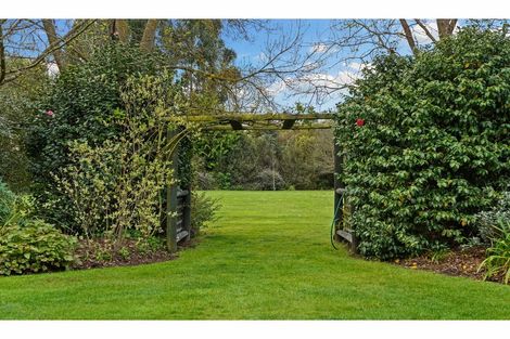 Photo of property in 38 Max Wallace Drive, Ashley, Rangiora, 7477