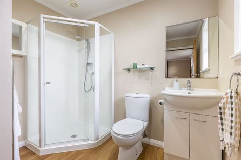 Photo of property in 17 London Terrace, Awapuni, Palmerston North, 4412