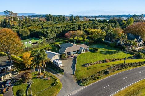 Photo of property in 293 Plummers Point Road, Whakamarama, Tauranga, 3172
