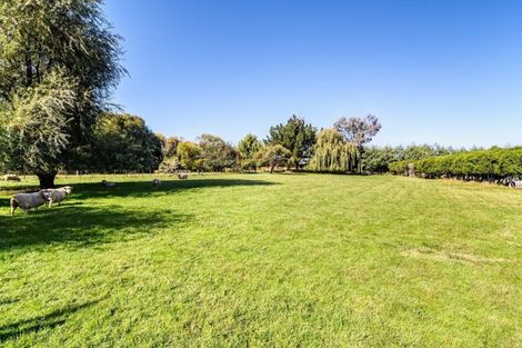 Photo of property in 710 Main Rd Riwaka, Riwaka, Motueka, 7198