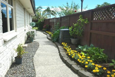 Photo of property in 43 Raukawa Drive, Bethlehem, Tauranga, 3110