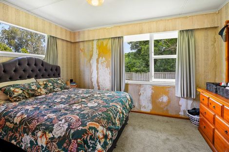 Photo of property in 1 Fairview Terrace, Paeroa, 3600