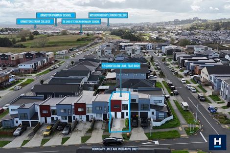 Photo of property in 12 Goodfellow Lane, Flat Bush, Auckland, 2019