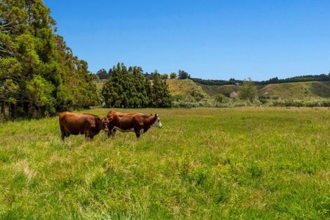 Photo of property in 1 Te Karaka Drive, Minden, Whakamarama, 3172