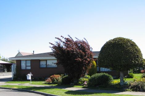 Photo of property in 6 Harris Place, Redwoodtown, Blenheim, 7201