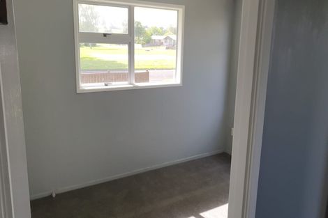 Photo of property in 25 Brownlie Crescent, Huntly, 3700