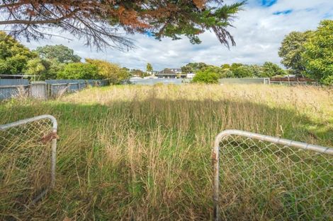Photo of property in 49 Konini Street, Tawhero, Whanganui, 4501