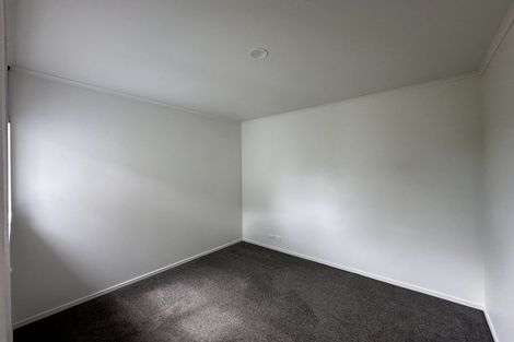 Photo of property in 853 Glenbrook Road, Kingseat, Pukekohe, 2679