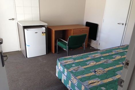 Photo of property in 17 Suffolk Street, Phillipstown, Christchurch, 8011