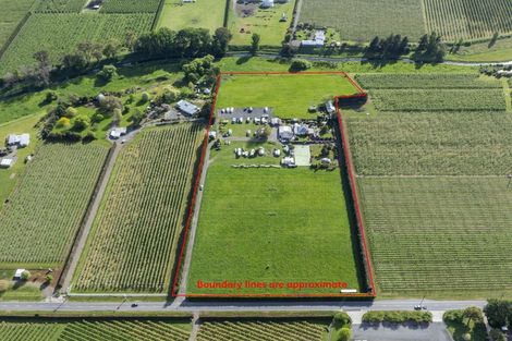 Photo of property in 74 Longlands Road, Longlands, Hastings, 4172