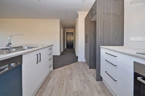 Photo of property in 52b Alfred Street, Fairfield, Hamilton, 3214