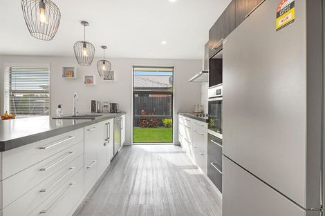 Photo of property in 58 Quartz Drive, Rolleston, 7614