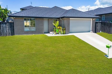 Photo of property in 29 Harry Richards Way, Pokeno, 2402
