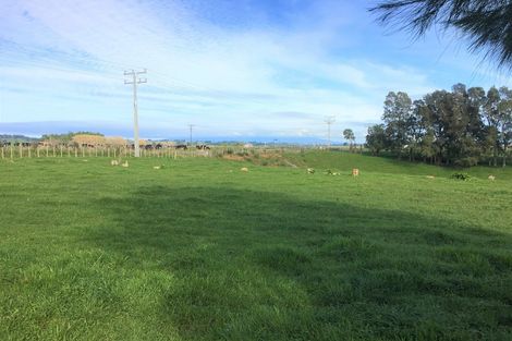 Photo of property in 557 Inland Road North, Onaero, Waitara, 4383