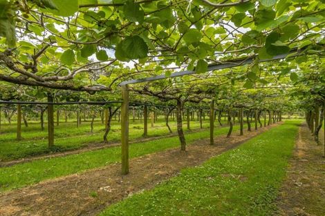 Photo of property in 2603 State Highway 2, Aongatete, Katikati, 3178