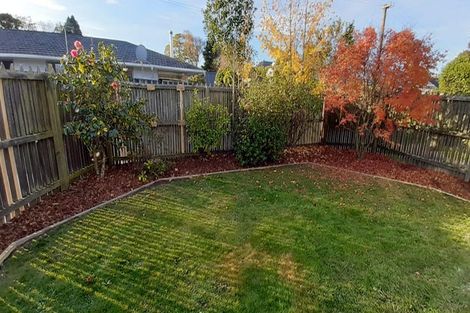 Photo of property in 24 Stratford Street, Merivale, Christchurch, 8014