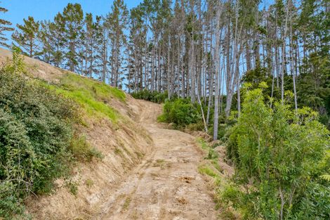 Photo of property in 663 Bickerstaffe Road, Maungaturoto, 0587