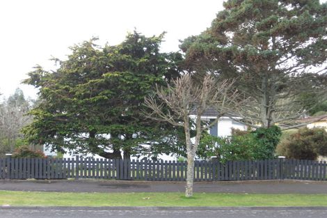 Photo of property in 53 Mansel Avenue, Hillcrest, Hamilton, 3216