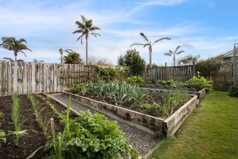 Photo of property in 7 Island Vista, Athenree, Katikati, 3177