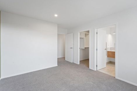 Photo of property in 14 Celeste Terrace, Peacocke, 3206