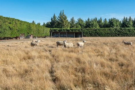 Photo of property in 6 Sharlands Road, Dunsandel, Rakaia, 7783