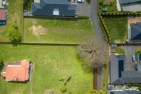 Photo of property in 91 Carmichael Road, Bethlehem, Tauranga, 3110