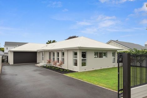 Photo of property in 19 Strowan Avenue, Fairfield, Hamilton, 3214