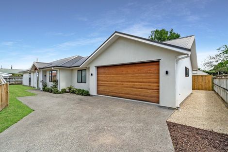Photo of property in 56 Daniell Street, Solway, Masterton, 5810