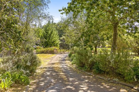 Photo of property in 1556 South Head Road, South Head, Helensville, 0874