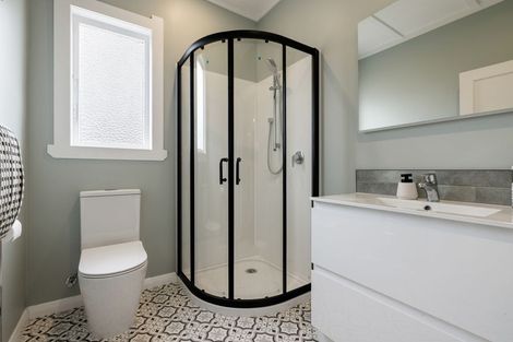 Photo of property in 17 Hinau Street, Maeroa, Hamilton, 3200