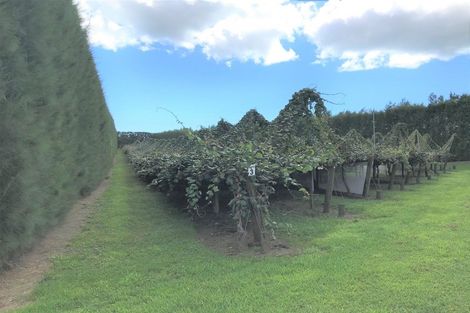 Photo of property in 238 Wilson Road North, Paengaroa, Te Puke, 3189