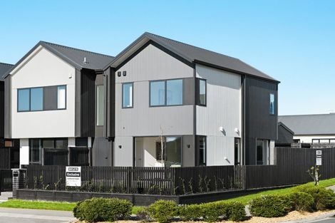 Photo of property in 44 Musselwhite Terrace, Chartwell, 3210