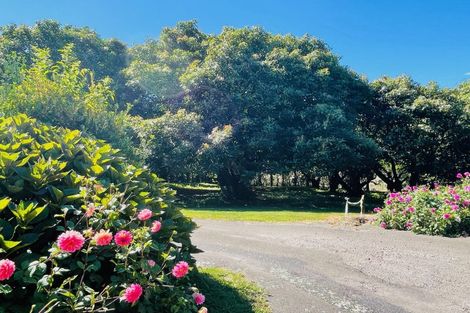 Photo of property in 717a No 3 Road, Te Puke, 3183