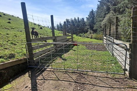 Photo of property in 319 Crownthorpe Settlement Road, Crownthorpe, Hastings, 4179