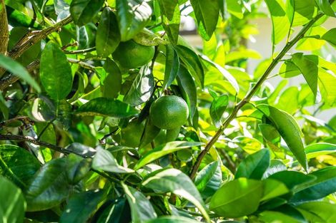 Photo of property in 17 George Point Road, Onerahi, Whangarei, 0110