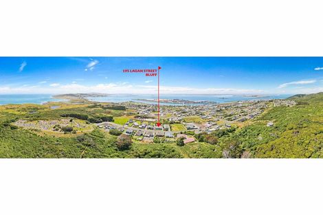 Photo of property in 195 Lagan Street, Bluff, 9814